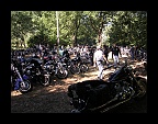 INDIAN BIKERS MC 2010 (99)